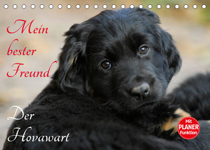 Mein bester Freund – Der Hovawart (Tischkalender 2023 DIN A5 quer) von Starick,  Sigrid