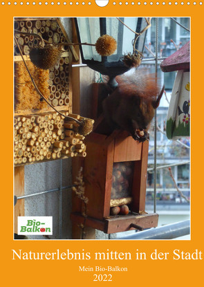 Mein Bio-Balkon: Naturerlebnis mitten in der Stadt (Wandkalender 2022 DIN A3 hoch) von Schattling,  Birgit