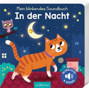 Mein blinkendes Soundbuch – In der Nacht von Dudziuk,  Kasia, Höck,  Maria