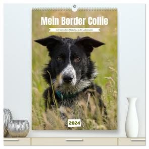 Mein Border Collie (hochwertiger Premium Wandkalender 2024 DIN A2 hoch), Kunstdruck in Hochglanz von Löwer,  Sabine