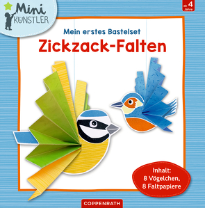 Mein erstes Bastelset: Zickzack-Falten von Sent,  Anne