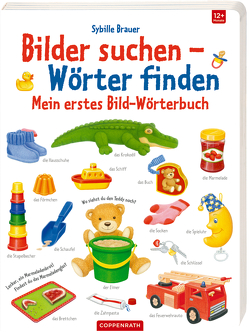 Mein erstes Bild-Wörterbuch von Brauer,  Sybille