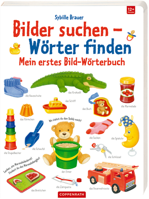Mein erstes Bild-Wörterbuch von Brauer,  Sybille