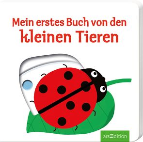 Mein erstes Buch von den kleinen Tieren von Choux,  Nathalie