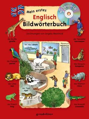 Mein erstes Englisch Bildwörterbuch + CD von Weinhold,  Angela