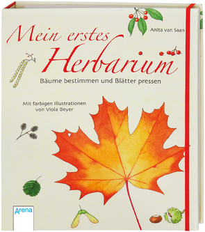 Mein erstes Herbarium – Bäume bestimmen und Blätter pressen von Beyer,  Viola, Saan,  Anita van