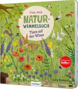 Mein erstes Natur-Wimmelbuch: Tiere auf der Wiese von Barnard,  Lucy, Lotz,  Katharina