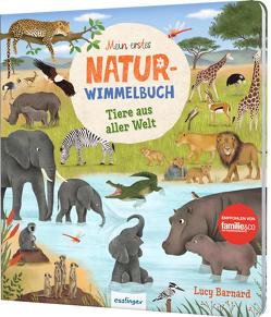 Mein erstes Natur-Wimmelbuch: Tiere aus aller Welt von Barnard,  Lucy, Lotz,  Katharina