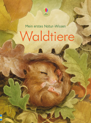 Mein erstes Natur-Wissen: Waldtiere von Bone,  Emily, Lechuga,  Maribel