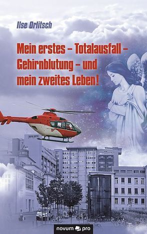 Mein erstes – Totalausfall – Gehirnblutung – und mein zweites Leben! von Orlitsch,  Ilse