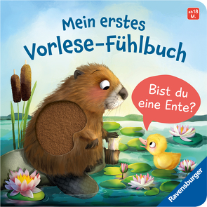 Mein erstes Vorlese-Fühlbuch: Bist du eine Ente? von Blanck,  Iris, Orso,  Kathrin-Lena