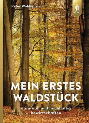 Mein erstes Waldstück von Wohlleben,  Peter