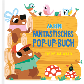 Mein fantastisches Pop-Up-Buch – Tiere im Wald von Gennet,  Peter, Partington,  David