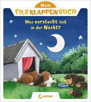 Mein Filzklappenbuch – Was versteckt sich in der Nacht? von Flad,  Antje