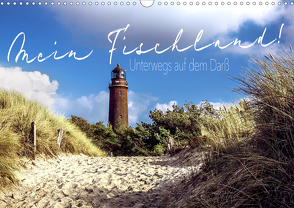 Mein Fischland! Unterwegs auf dem Darß (Wandkalender 2021 DIN A3 quer) von Walter Hirschberg,  Tobias