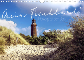 Mein Fischland! Unterwegs auf dem Darß (Wandkalender 2021 DIN A4 quer) von Walter Hirschberg,  Tobias