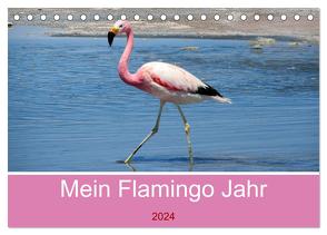 Mein Flamingo Jahr (Tischkalender 2024 DIN A5 quer), CALVENDO Monatskalender von Marlena Büchler,  Piera