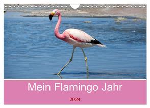 Mein Flamingo Jahr (Wandkalender 2024 DIN A4 quer), CALVENDO Monatskalender von Marlena Büchler,  Piera