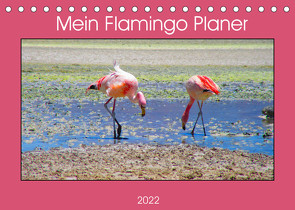 Mein Flamingo Planer (Tischkalender 2022 DIN A5 quer) von Marlena Büchler,  Piera