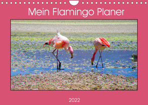 Mein Flamingo Planer (Wandkalender 2022 DIN A4 quer) von Marlena Büchler,  Piera