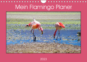 Mein Flamingo Planer (Wandkalender 2023 DIN A4 quer) von Marlena Büchler,  Piera