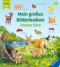 Mein großes Bilderlexikon: Unsere Tiere von Ebert,  Anne, Gernhäuser,  Susanne