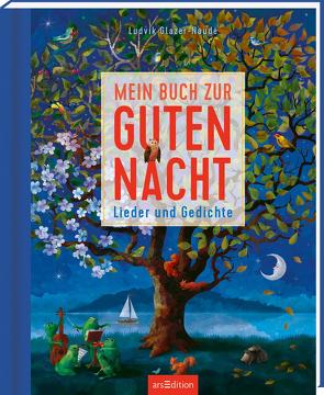 Mein großes Buch zur Guten Nacht von Glazer-Naudé,  Ludvik