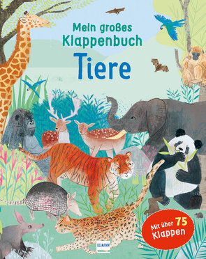 Mein großes Klappenbuch – Tiere von Bowles,  Anna, Rewse,  Katie