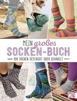 Mein großes Socken-Buch