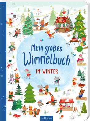 Mein großes Wimmelbuch – Im Winter von Selbert,  Kathryn