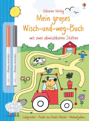 Mein großes Wisch-und-weg-Buch von Lamb,  Stacey, Taplin,  Sam