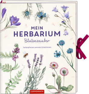 Mein Herbarium: Blütenzauber von Baus,  Lars, Zysk,  Stefanie