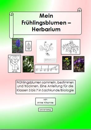 Mein Herbarium der Frühlingsblumen von Nitschke,  Anke