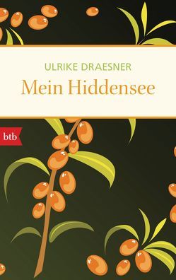 Mein Hiddensee von Draesner,  Ulrike