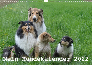 Mein Hundekalender 2022 (Wandkalender 2022 DIN A3 quer) von Bollich,  Heidi