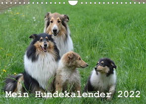 Mein Hundekalender 2022 (Wandkalender 2022 DIN A4 quer) von Bollich,  Heidi