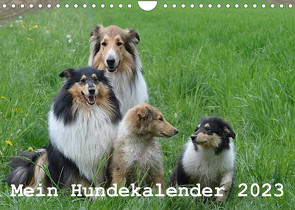 Mein Hundekalender 2023 (Wandkalender 2023 DIN A4 quer) von Bollich,  Heidi