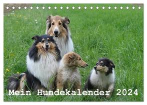 Mein Hundekalender 2024 (Tischkalender 2024 DIN A5 quer), CALVENDO Monatskalender von Bollich,  Heidi