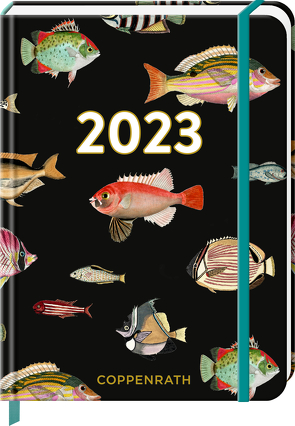 Mein Jahr 2023 – Fische (I love my Ocean) von Defaux,  Tina