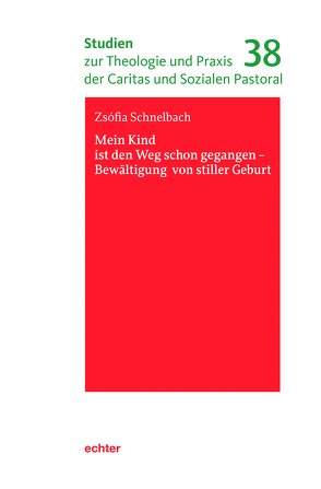 Mein Kind ist den Weg schon gegangen – Bewältigung von stiller Geburt von Schnelbach,  Zsófia