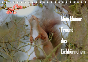 Mein kleiner Freund das Eichhörnchen (Tischkalender 2021 DIN A5 quer) von Rufotos