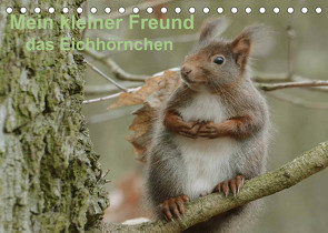 Mein kleiner Freund das Eichhörnchen (Tischkalender 2022 DIN A5 quer) von Rufotos