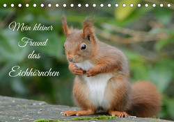 Mein kleiner Freund das Eichhörnchen (Tischkalender 2024 DIN A5 quer) von Rufotos