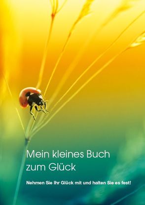 Mein kleines Buch zum Glück von Ullrich,  Felicia