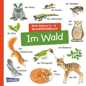 Mein kleines buntes Bildwörterbuch: Im Wald von Henkel,  Christine