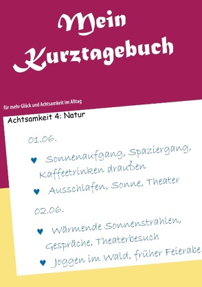 Mein Kurztagebuch von Pauligk,  Christine