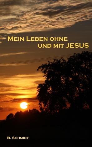 Mein Leben ohne und mit Jesus von Schmidt,  B.