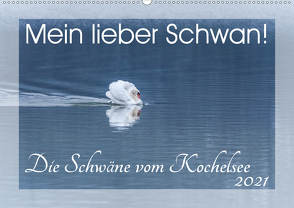 Mein lieber Schwan! Die Schwäne vom Kochelsee. (Wandkalender 2021 DIN A2 quer) von van der Wiel www.kalender-atelier.de,  Irma