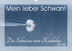 Mein lieber Schwan! Die Schwäne vom Kochelsee. (Wandkalender 2021 DIN A3 quer) von van der Wiel www.kalender-atelier.de,  Irma