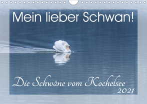 Mein lieber Schwan! Die Schwäne vom Kochelsee. (Wandkalender 2021 DIN A4 quer) von van der Wiel www.kalender-atelier.de,  Irma